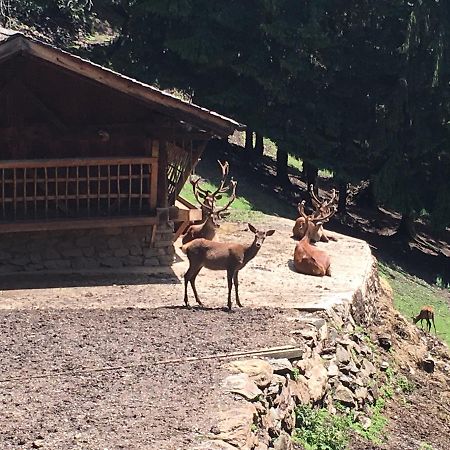 B/B La Locanda Delle Pulci Mezzana  Esterno foto