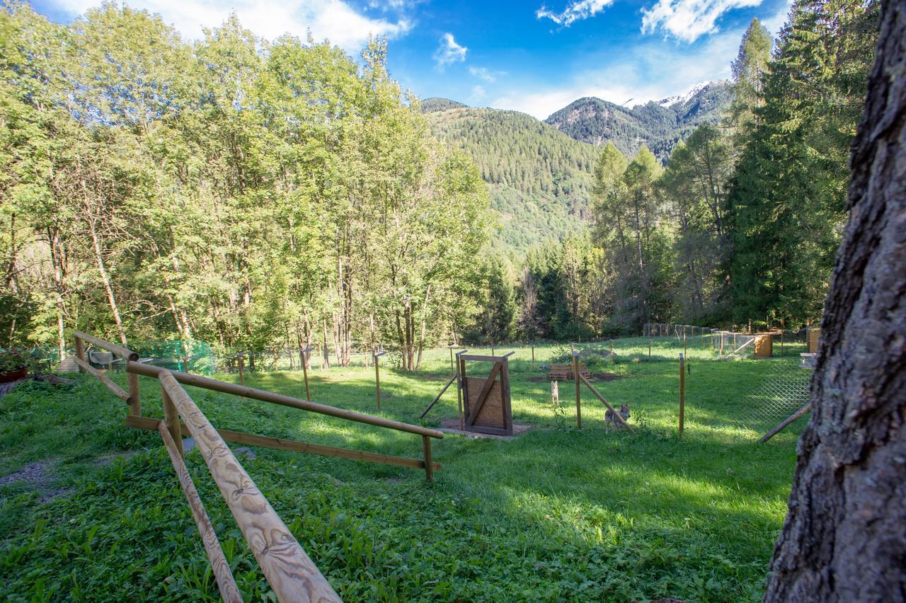 B/B La Locanda Delle Pulci Mezzana  Esterno foto